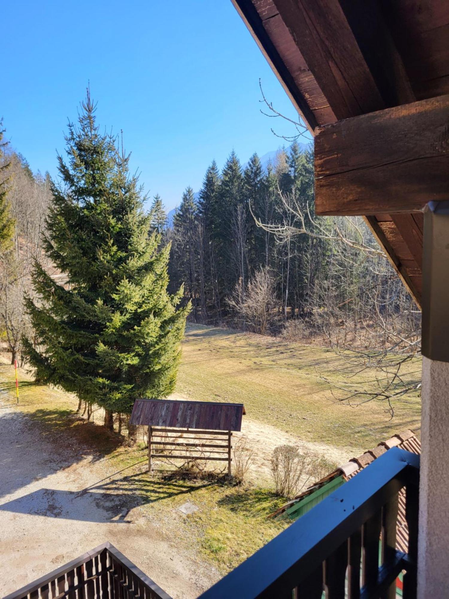 Apartment Dobnikar Kranjska Gora Luaran gambar