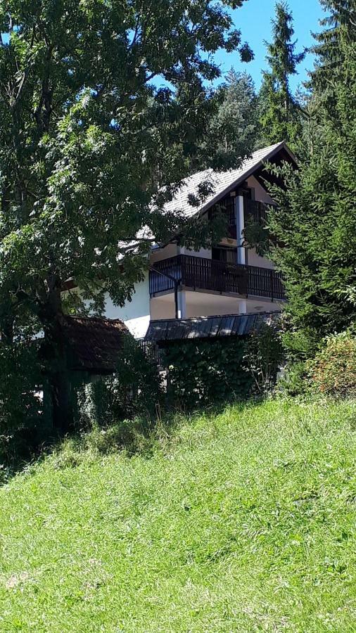 Apartment Dobnikar Kranjska Gora Luaran gambar